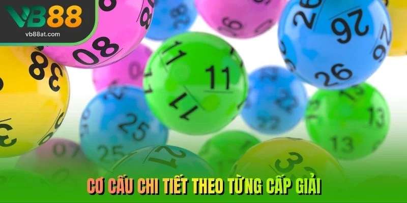 Cơ cấu chi tiết theo từng cấp giải